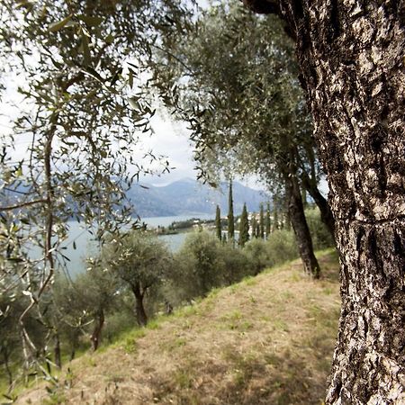 Residence Le Balze Malcesine Zewnętrze zdjęcie