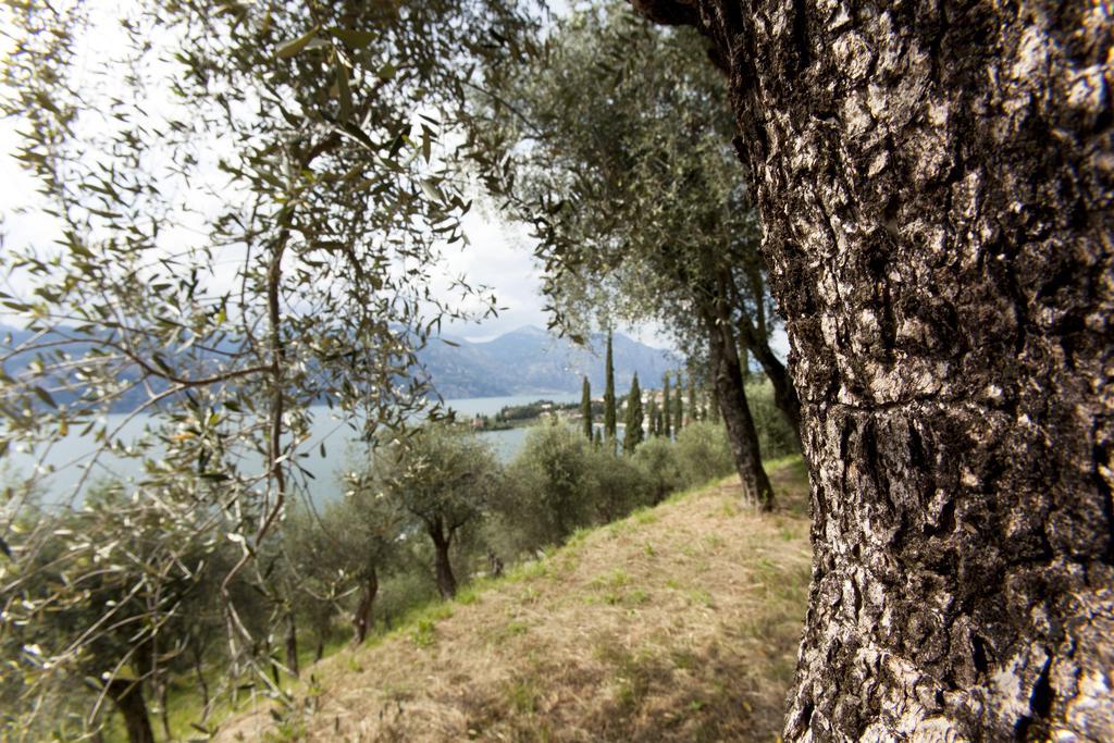 Residence Le Balze Malcesine Zewnętrze zdjęcie